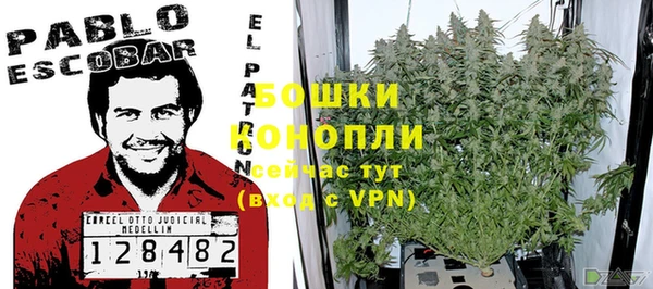 твердый Арсеньев